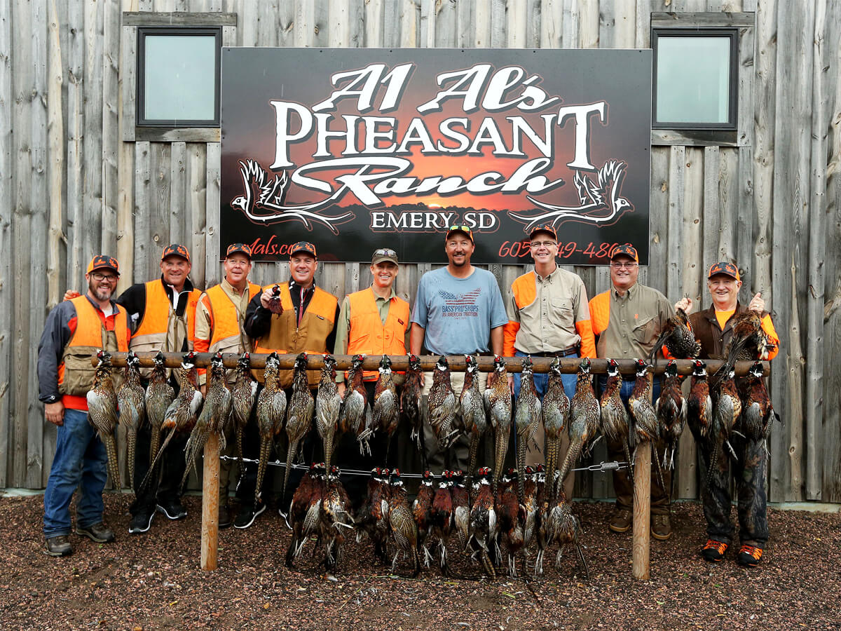 Pheasant hunting photos in South Dakota