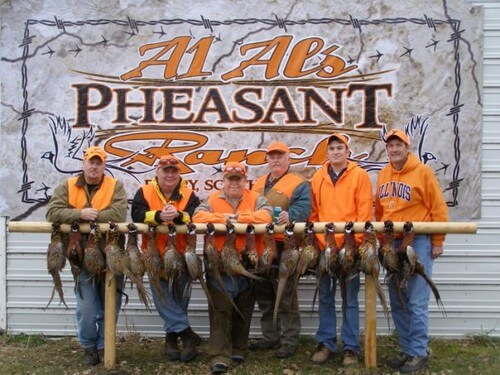 Pheasant hunts in South Dakota