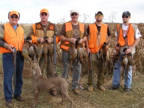 Group pheasant hunting in South Dakota