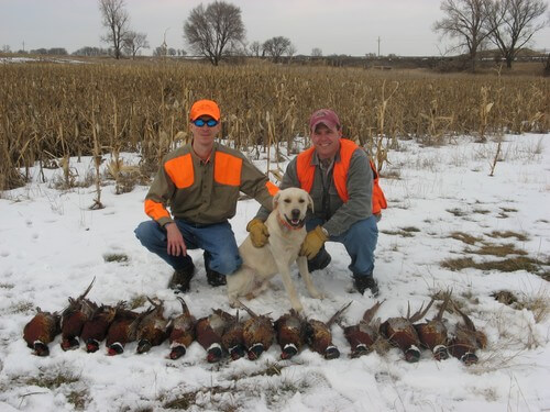 South Dakota pheasant hunting in the winter