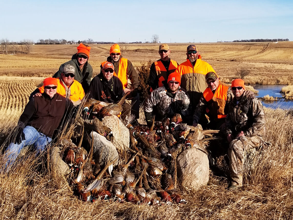 South Dakota Pheasant Hunting & Lodging at A1 Al's Pheasant Ranch