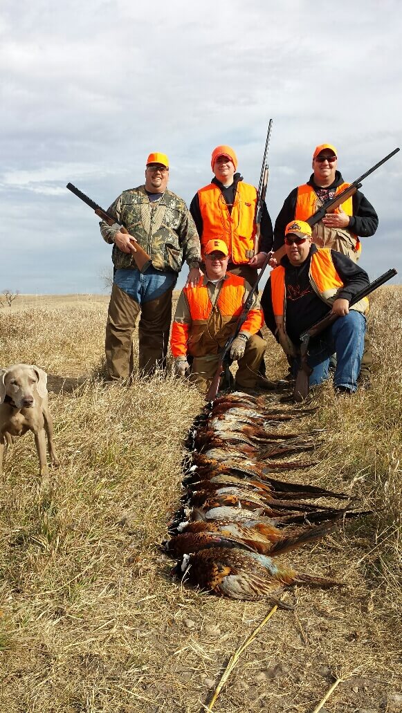 Pheasant hunting and lodging trips in SD